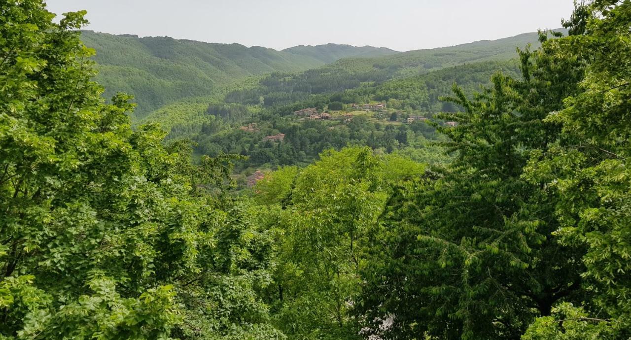 Il Canto Del Fuoco Caiano Esterno foto